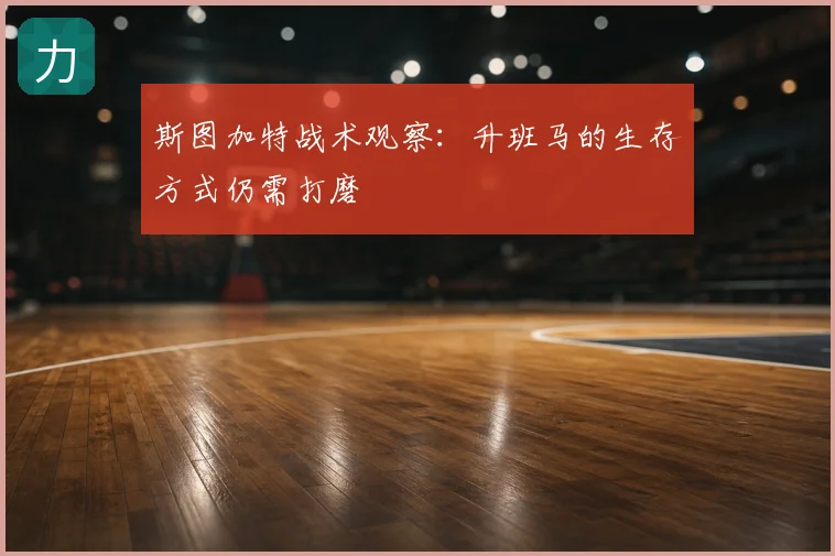 斯图加特战术观察：升班马的生存方式仍需打磨